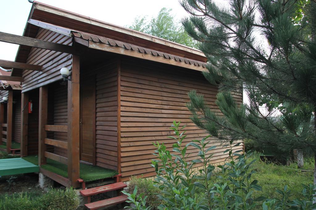 Hotel Doi Taurasi Afumaţi 外观 照片